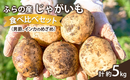 【2025年10月～発送】じゃがいも 食べ比べセット 男爵3kg＋インカのめざめ2kg＋【計約5kg】 (スイートベジタブルファクトリー) 野菜 新鮮 直送 朝採り じゃがいも 芋 男爵 男爵いも インカのめざめ 2274493 - 北海道富良野市