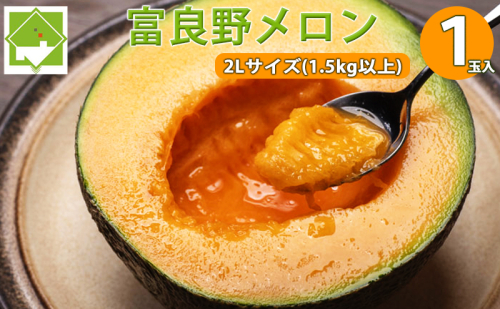 【2026年7月中旬～発送】北海道 富良野 メロン 2Lサイズ 1.5kg以上×1玉 (スイートベジタブルファクトリー) メロン フルーツ 果物 新鮮 甘い 贈り物 ギフト 道産 ジューシー おやつ ふらの ブランド 夏 2274494 - 北海道富良野市