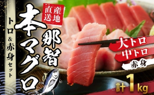 本場南紀から産地直送！ 本マグロ トロ+赤身セット 1kg | 【年末年始お届け可能】大トロ 中トロ 鮪 刺身 寿司 海のダイヤ クロマグロ 人気 2274539 - 和歌山県那智勝浦町