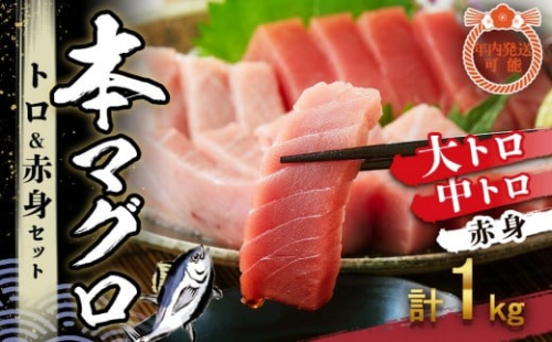 【12月末まで限定寄付額】【年内発送可】本マグロ トロ+赤身セット 1kg | 【年末年始お届け可能】大トロ 中トロ 鮪 刺身 寿司 海のダイヤ クロマグロ 人気 2274539 - 和歌山県那智勝浦町