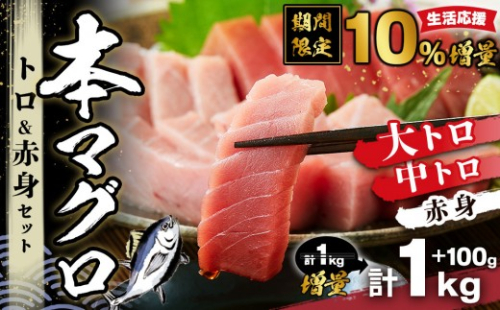 【期間限定】本マグロ トロ+赤身セット 1kg | 那智勝浦町 海鮮 魚介類 本まぐろ 本マグロ まぐろ マグロ 鮪 maguro トロ 赤身 刺身用 セット 人気 おすすめ グルメ 大トロ 中トロ 寿司 国産まぐろ 生活応援 2274539 - 和歌山県那智勝浦町