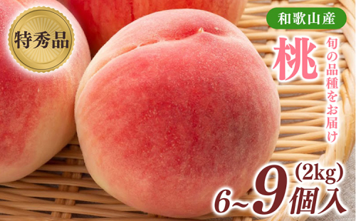 先行受付!　旬の桃　(特秀品)　約2kg　6～9個入 2274707 - 和歌山県美浜町