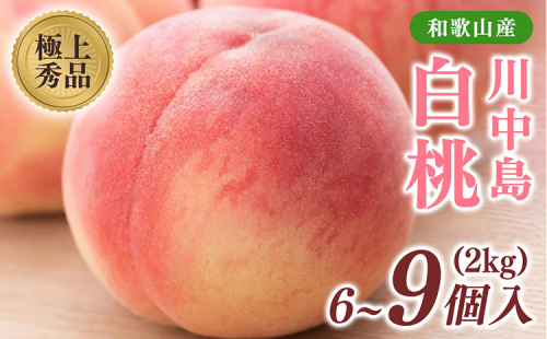 桃先行受付!　【川中島白桃】　(大玉特秀品)　約2kg　6～9個入　こだわり農家厳選! 2274709 - 和歌山県美浜町