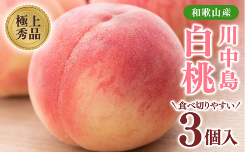 桃先行受付!　【川中島白桃】大玉特秀品　食べきりやすい3個入り　こだわり農家厳選! 2274710 - 和歌山県美浜町