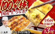 【6回定期便】国産 上うなぎ 白焼き 3尾 約150g×3パック / 鰻 ウナギ うなぎ 白焼き / 御嵩町 / 鰻 季節料理 魚邦 [AVBH031]