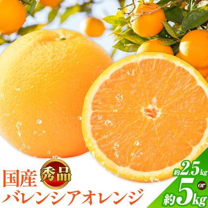 【秀品】※先行予約※希少な国産バレンシアオレンジ 選べる 約2.5kg 約5kg 株式会社 魚鶴商店《2026年6月下旬頃～7月上旬頃出荷》和歌山県 日高川町 オレンジ 柑橘 フルーツ 果物 2274809 - 和歌山県日高川町