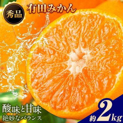 【先行予約】秀品 有田みかん 約2kg 株式会社魚鶴商店《2025年11月下旬-12月下旬頃出荷》和歌山県 日高川町 有田みかん ミカン 蜜柑 フルーツ 柑橘 2274815 - 和歌山県日高川町