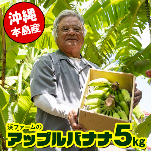 【沖縄本島産】浜ファームの「アップルバナナ」　5kg 2274911 - 沖縄県南風原町
