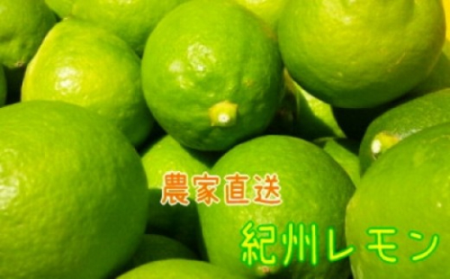 国産 農家直送 紀州レモン 約3kg サイズ混合 ［MS122］ 2274912 - 和歌山県那智勝浦町