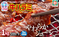 [定期便/計9回]味付き牛ハラミ 1kg(200g×5) 計9kg | 特製タレ 焼くだけ 手作業で加工 焼肉 お取り寄せ バーベキュー ふるさと納税はらみ ふるさと納税ハラミ 柔らかい やわらかい 父の日 | EQ040-1000g-t9