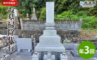 ＜お墓掃除 代行サービス（年3回）＞2基 墓所 墓石 お掃除 清掃 代理 代行 お手入れ お供え 供養 クリーン 花立 線香台 水鉢 雑草取り お墓参り お手入れ 徳山石材 愛媛県 西予市
