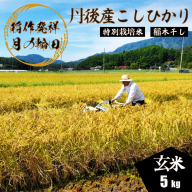 2025年産 京丹後産稲作発祥の地コシヒカリ特別栽培米 月の輪田米 玄米5kg（天日干し）