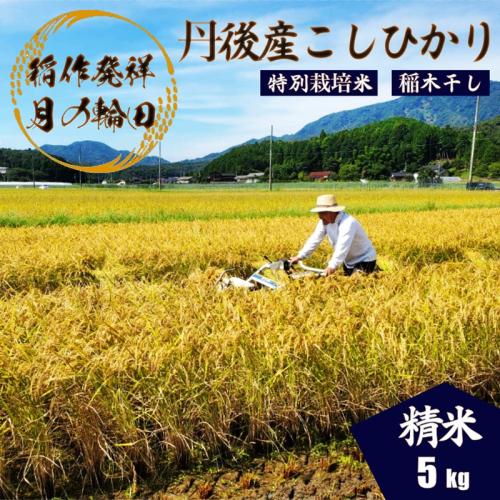 2026年産 京丹後産稲作発祥の地コシヒカリ特別栽培米 豊受月の輪田米 精米5kg（天日干し） ふるさと納税 米 玄米 お米 ご飯 ごはん コシヒカリ 京丹後産 峰山 農家応援 生産者応援 送料無料
 2275026 - 京都府京丹後市