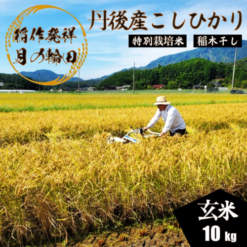 2026年産 京丹後産稲作発祥の地コシヒカリ特別栽培米 豊受月の輪田米 玄米10kg（天日干し） ふるさと納税 米 玄米 お米 ご飯 ごはん コシヒカリ 京丹後産 峰山 農家応援 生産者応援 送料無料
 2275027 - 京都府京丹後市
