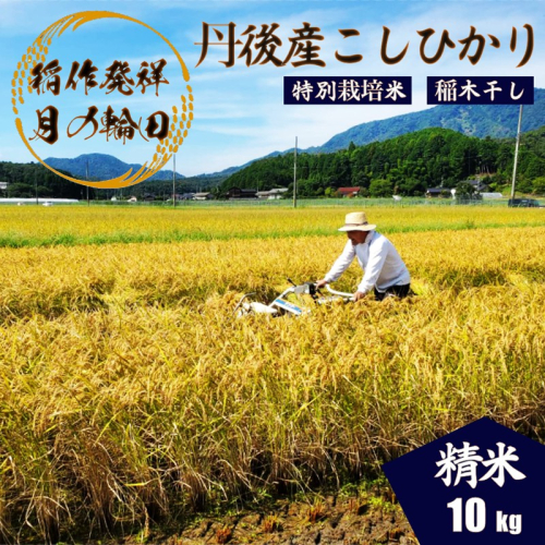 2026年産 京丹後産稲作発祥の地コシヒカリ特別栽培米 豊受月の輪田米 精米10kg（天日干し） ふるさと納税 米 玄米 お米 ご飯 ごはん コシヒカリ 京丹後産 峰山 農家応援 生産者応援 送料無料
 2275028 - 京都府京丹後市