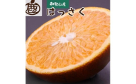 ＜先行予約＞厳選はっさく2.5kg+250g（傷み補償分）【八朔みかん】＜1月より発送＞※北海道・沖縄・離島への配送不可【ikd138A】