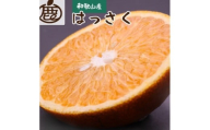 [先行予約]厳選はっさく1kg+250g(傷み補償分)[八朔みかん][1月より発送]※北海道・沖縄・離島への配送不可[ikd220]