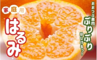 ＜2月より発送＞【先行予約】家庭用はるみ10kg+250g（傷み補償分）【デコポンの姉妹品種・新食感春みかん】【光センサー選別】【わけあり・訳あり】【ikd230】