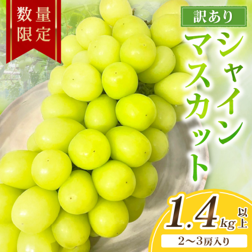【先行予約／数量限定100】訳ありシャインマスカット 1.4kg以上（2～3房入り）（2026年9月上旬～発送） フルーツ 果物 くだもの マスカット ぶどう 贈り物 京都 京丹後産
 2275120 - 京都府京丹後市