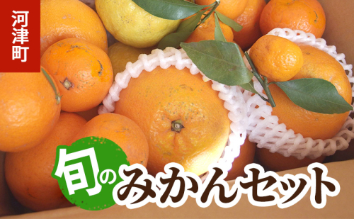 みかん 河津町旬のみかんセット ミカン セット 旬の果物 フルーツ 果実 ニューサマーオレンジ 甘夏 不知火 早生ミカン はるみ ポンカン 河津町 静岡県 2275126 - 静岡県河津町