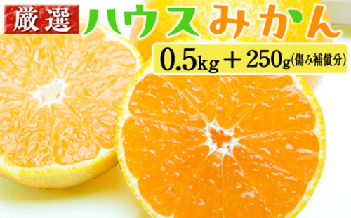 厳選 ハウスみかん0.5kg+250g（傷み補償分） 2275187 - 和歌山県美浜町