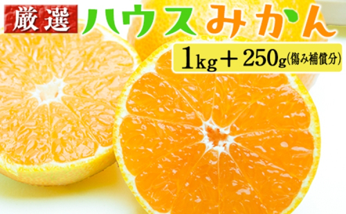 厳選 ハウスみかん1kg+250g（傷み補償分） 2275188 - 和歌山県美浜町