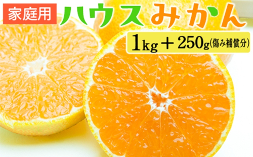 家庭用 ハウスみかん1kg+250g（傷み補償分） 2275192 - 和歌山県美浜町