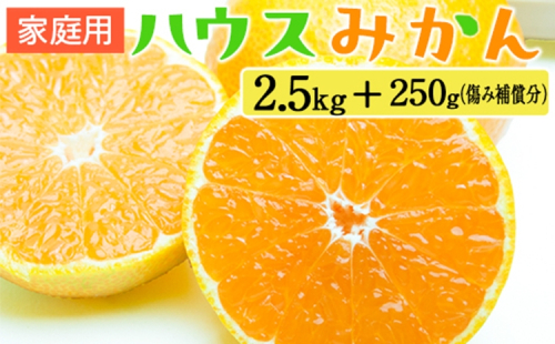 家庭用 ハウスみかん2.5kg+250g（傷み補償分） 2275193 - 和歌山県美浜町