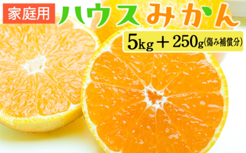 家庭用 ハウスみかん5kg+250g（傷み補償分） 2275194 - 和歌山県美浜町