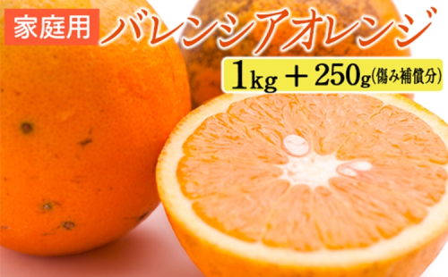 家庭用 バレンシアオレンジ1kg+250g(傷み補償分) 2275195 - 和歌山県美浜町