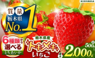 【訳あり】不揃いとちあいか1kg以上| 訳あり訳あり いちご とちあいか 大粒 新鮮 甘い 数量 限定 美味しい 果物 共通返礼品 フルーツ デザート 栃木県 送料無料