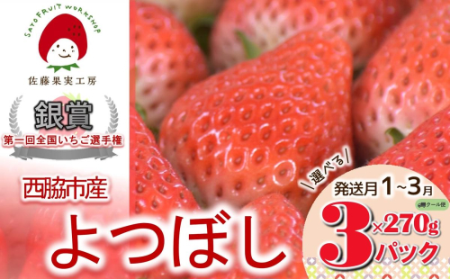 《2026年産先行予約》「西脇市産 佐藤果実工房のよつぼし」（約270g×３パック 約810g）【佐藤果実工房 全国いちご選手権銀賞受賞農園 TVで紹介!】（09-39） 2275249 - 兵庫県西脇市