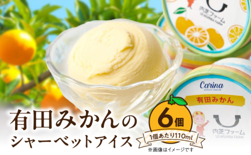 ZE6512_有田みかんシャーベットアイス　　6個入り 2275325 - 和歌山県湯浅町