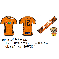 レノファ山口2019 レプリカ応援セット