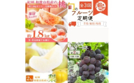 【全3回】紀州和歌山産旬のフルーツ定期便 (桃・梨・ピオーネ) 【tkb424】
