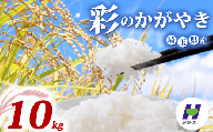 令和7年産 精米 10kg 彩のかがやき 5kg×2袋 米 お米 白米 こめ ライス kome ごはん ご飯 コメ ブランド米 精米 人気 おすすめ 10キロ 産地直送 送料無料 数量 限定 白飯 ふるさと納税 人気 飯 おいしい 美味しい JAほくさい 埼玉県 羽生市