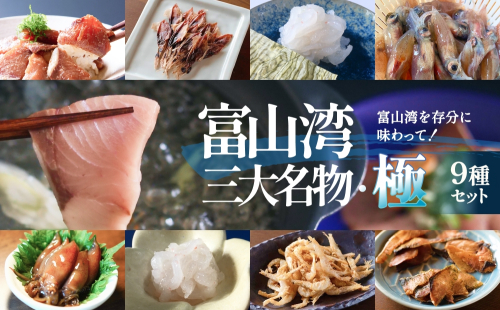 富山湾三大名物・極 鰤 ホタルイカ 白えび つめ合わせ ブリ ほたるいか 富山県 氷見市 2275961 - 富山県氷見市
