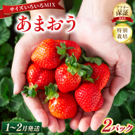 いちご 福岡県産 特別栽培 あまおう サイズいろいろMIX 約570g（約285g×2パック）【1～2月発送】　農園直送 アフター保証 先行予約 福岡産 送料無料 ケーキ ギフト お祝い 限定 季節限定 UN005