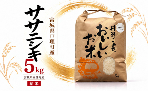令和8年産 精米 ササニシキ 5kg  2276142 - 宮城県亘理町