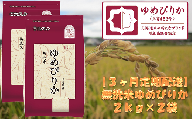 （無洗米）【３ヶ月定期配送】ホクレンゆめぴりか（２ｋｇ×２袋）