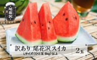 先行予約 訳あり尾花沢スイカ Lサイズ以上 2玉 7月下旬～8月中旬頃発送 令和8年産 2026年産 東根産センター すいか 西瓜 ※沖縄・離島への配送不可 ns-su1wx2