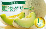【先行予約】 八代市産 肥後グリーン 1玉 （約1.3kg以上） 熊本 メロン 果物 くだもの フルーツ 青肉メロン 青肉 【2026年6月中旬より順次発送】