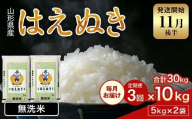 FYN1-979 【3回定期便・11月後半発送】令和7年産 新米 山形県産 はえぬき 10kg 2025年 お米 米 米米 ごはん ご飯 白米 国産 ブランド米 節水 時短 冷めてもおいしい贈答 ギフト 家庭用 自宅用 お取り寄せ 食品 山形県 西川町 月山