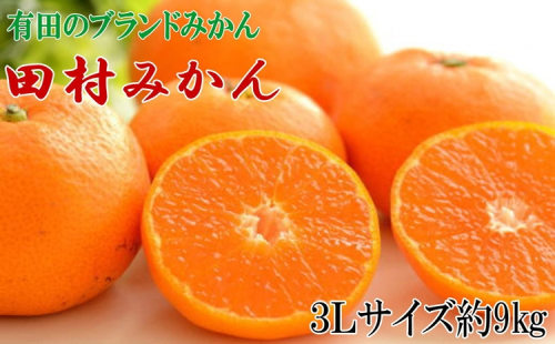 【有田のブランドみかん】田村みかん 大玉 約9kg (3Lサイズ) 2276409 - 和歌山県美浜町