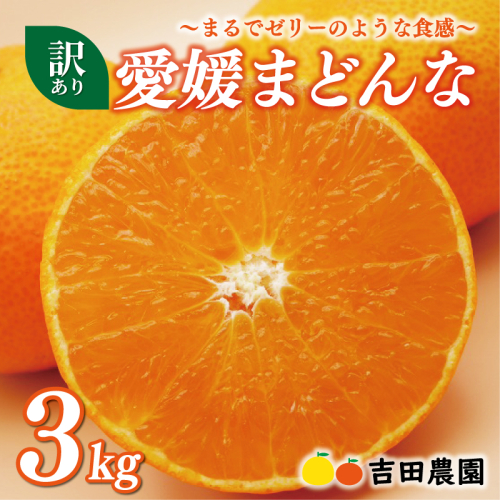 数量限定 先行予約 訳あり 愛媛 まどんな 3kg みかん 家庭用 サイズミックス 12000円 愛果28号 紅まどんな 同品種 あいか アイカ 高級 人気 ブランド 柑橘 果物 フルーツ 期間限定 産地直送 国産 農家直送 わけあり 特産品 お取り寄せ mikan 蜜柑 ミカン マドンナ スマイルカット 甘い おいしい ゼリー ぷるぷる 吉田農園 愛南町 愛媛県 2276419 - 愛媛県愛南町