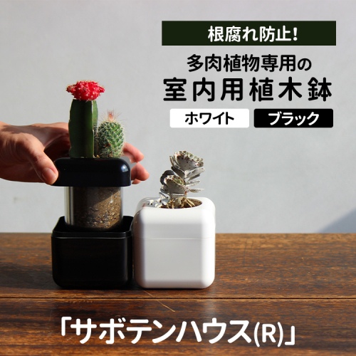 根腐れ防止！多肉植物専用の室内用植木鉢「サボテンハウス(R)」 かわいいキューブ型植木鉢 日用品 贈答品 プレゼント ギフト _GD01 _GD02 2276488 - 茨城県古河市