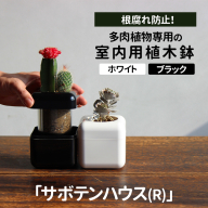 根腐れ防止！多肉植物専用の室内用植木鉢「サボテンハウス(R)」 かわいいキューブ型植木鉢 日用品 贈答品 プレゼント ギフト _GD01 _GD02