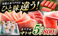 【通常配送】対馬産 養殖 本マグロ 中トロ 800ｇ(5パック)《対馬市》【対海】 [WAH019]
