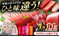 【12月中にお届け】対馬産 本マグロ 4種 計1.1kg（赤身/中トロ/大トロ/ネギトロ）《対馬市》【対海】[WAH028-12]