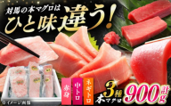 【通常配送】対馬産 本マグロ 3種 計900g（赤身/中トロ/ネギトロ）《対馬市》【対海】[WAH029]